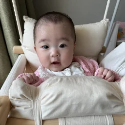 버나드메이도프